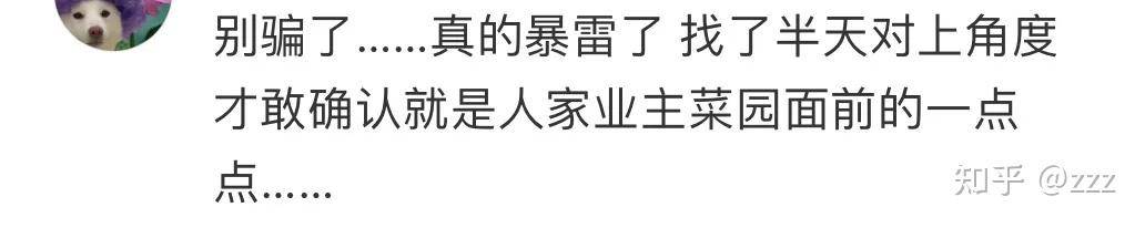 为什么你卸载了小红书？  第11张