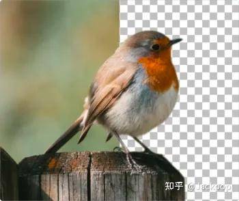 你日常在用的付费软件，都有什么好的开源或免费替代产品呢？  第9张