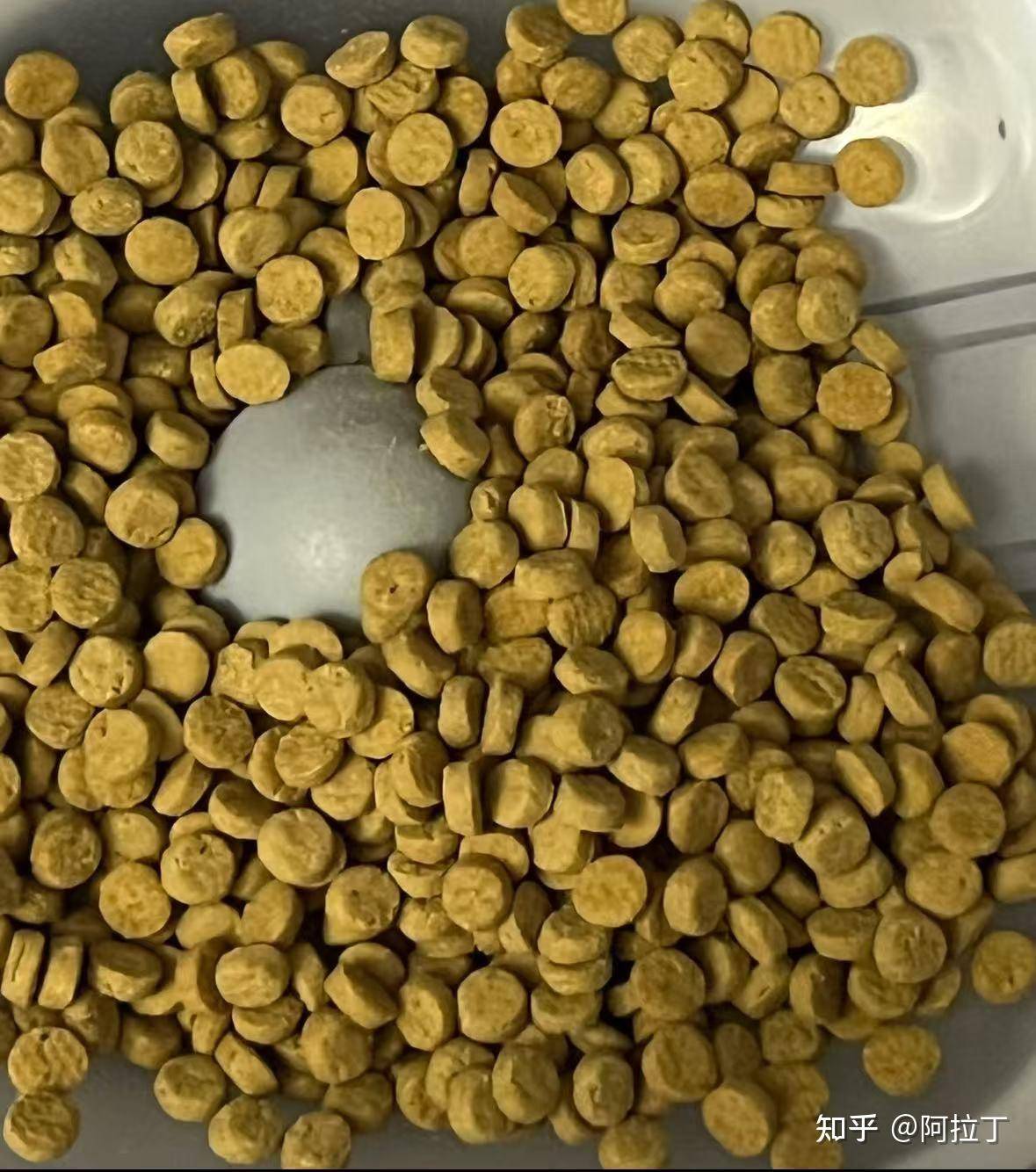 特别好奇，猫一直吃猫粮会不会腻？  第13张