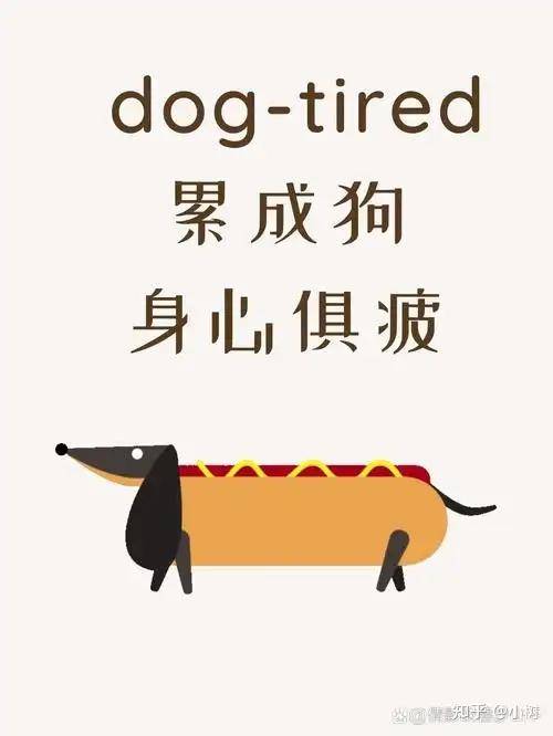 哪些网站帮你打开了新世界的大门？  第1张