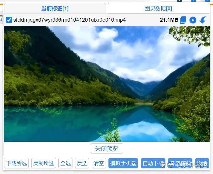 求教，一些网页视频的下载方法？  第1张
