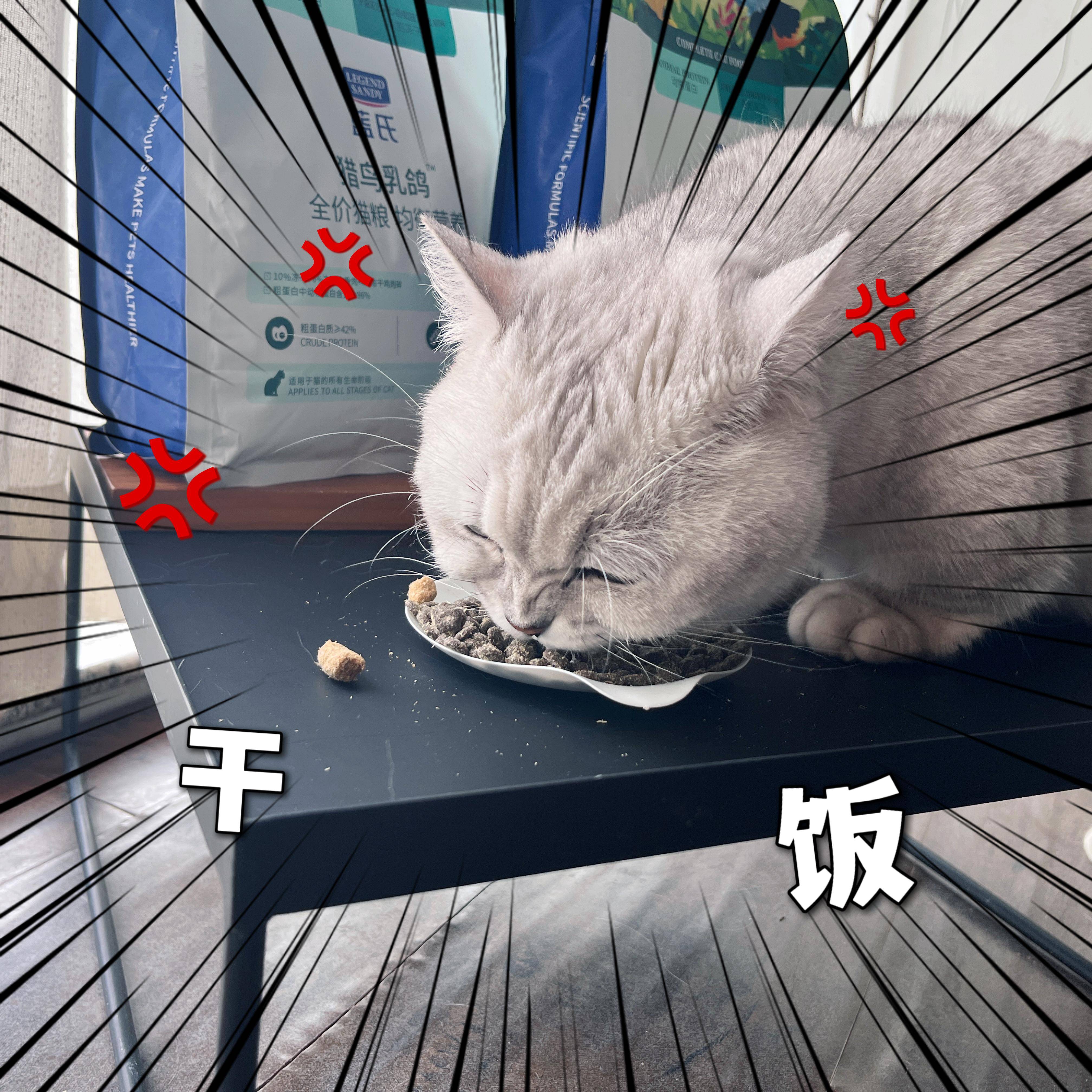 你发现过你的宠物什么小秘密？  第5张
