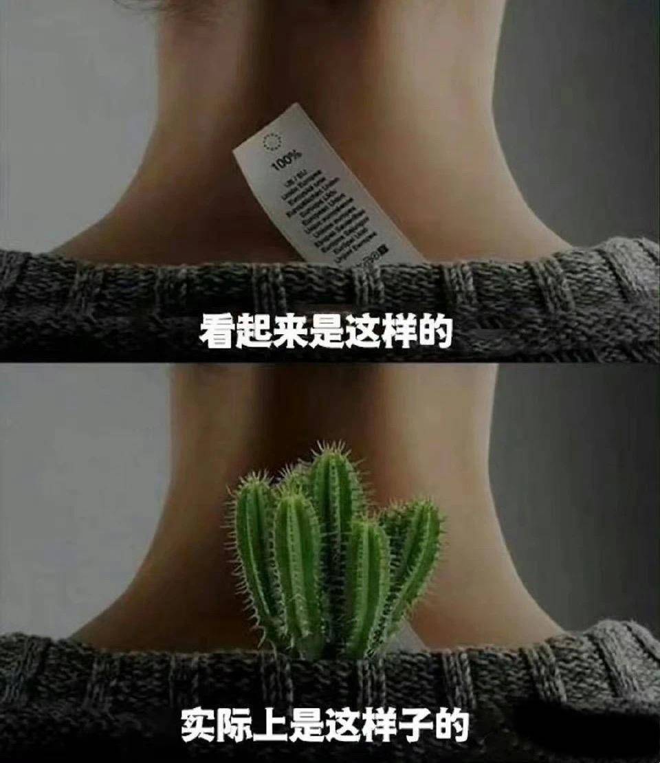 什么笑话让你看一次笑一次？  第13张