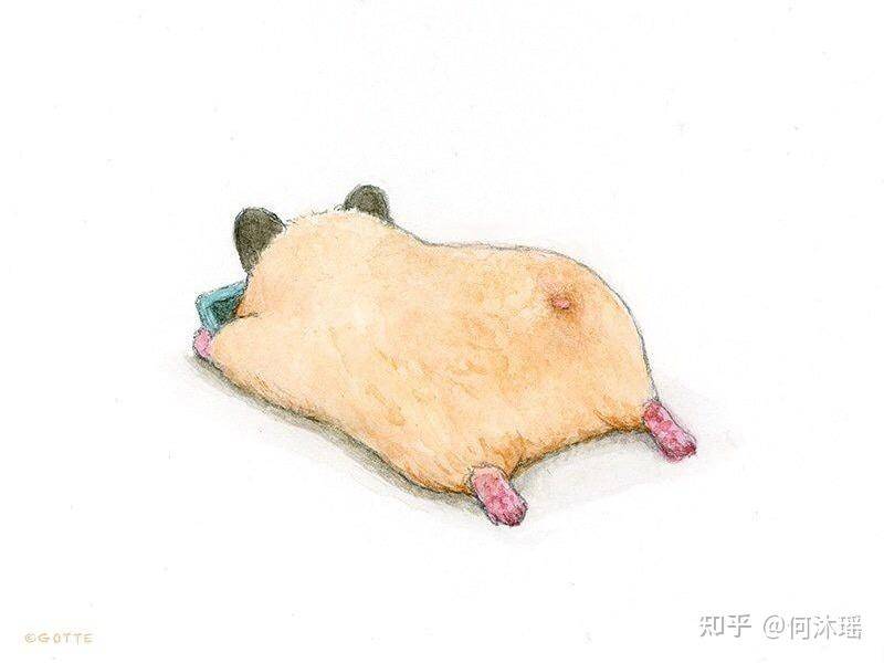 大家一个月能在知乎赚到多少盐粒？  第13张