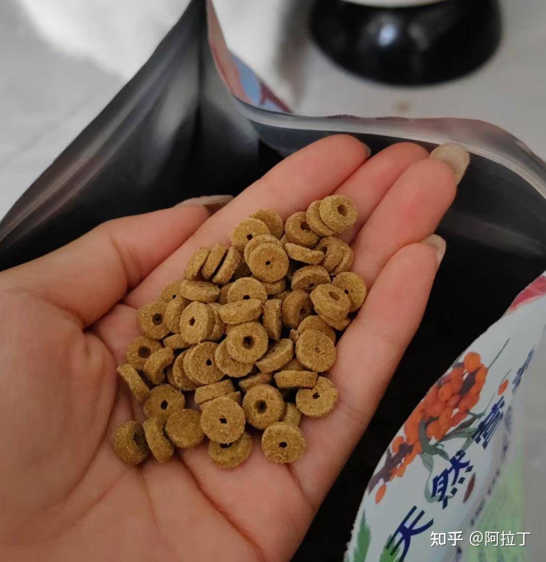 特别好奇，猫一直吃猫粮会不会腻？  第7张
