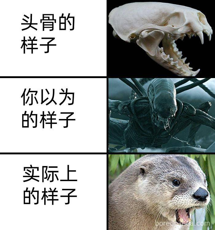 为什么古生物都长的比较吓人?  第2张