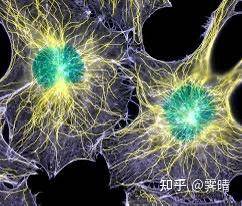 原子没有意识，如果人体其实就是一堆原子组成的，人为什么有意识？  第1张