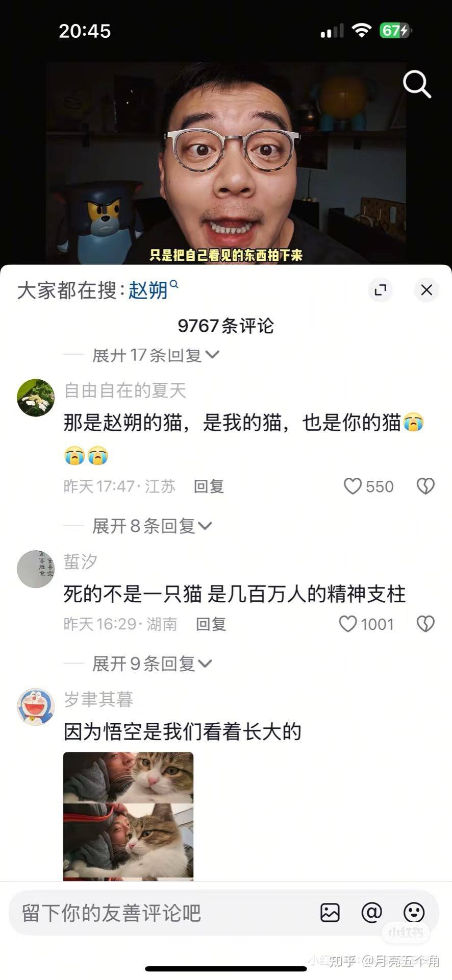 如何看待小猫悟空突然出车祸长眠?  第2张