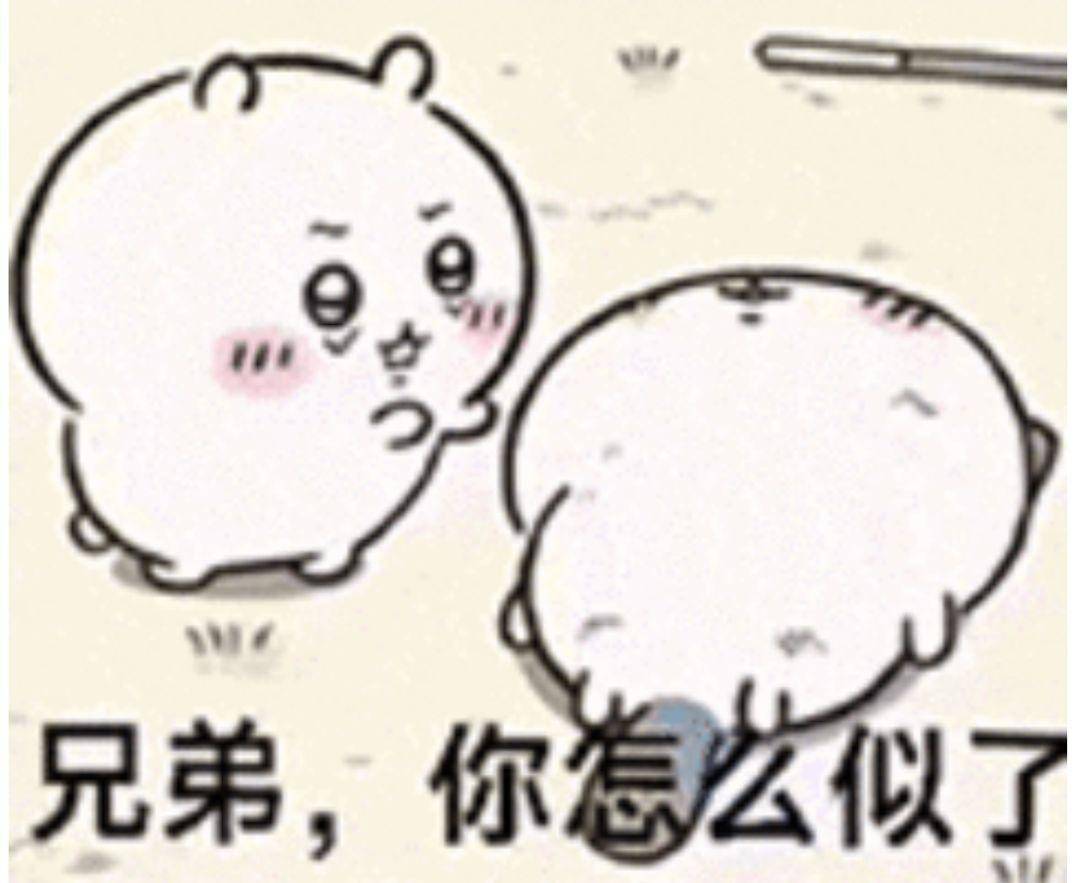 你看过最绝望的一张图片？  第4张