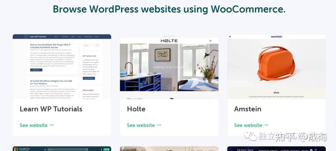 有什么颜值比较高的 wordpress 模板？  第3张