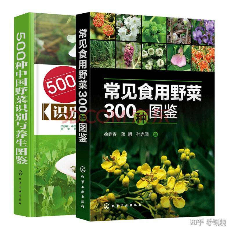 有没有穿越者，透露一下未来发生的事情？  第5张