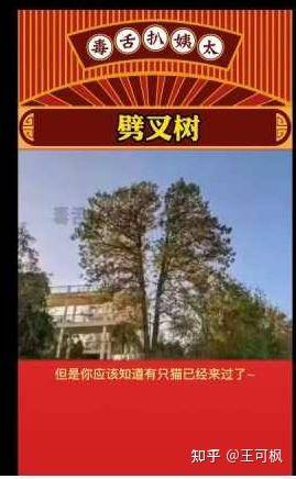 拥有稀有的名字是一种怎样的体验？  第3张
