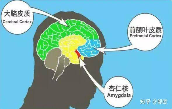 为什么「人在特别幸福的时候，会感觉到莫名悲伤」？  第1张