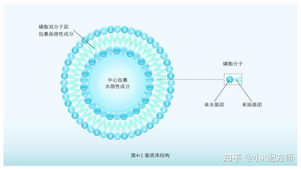 如何正确挑选护肤品以及看懂成分？  第4张