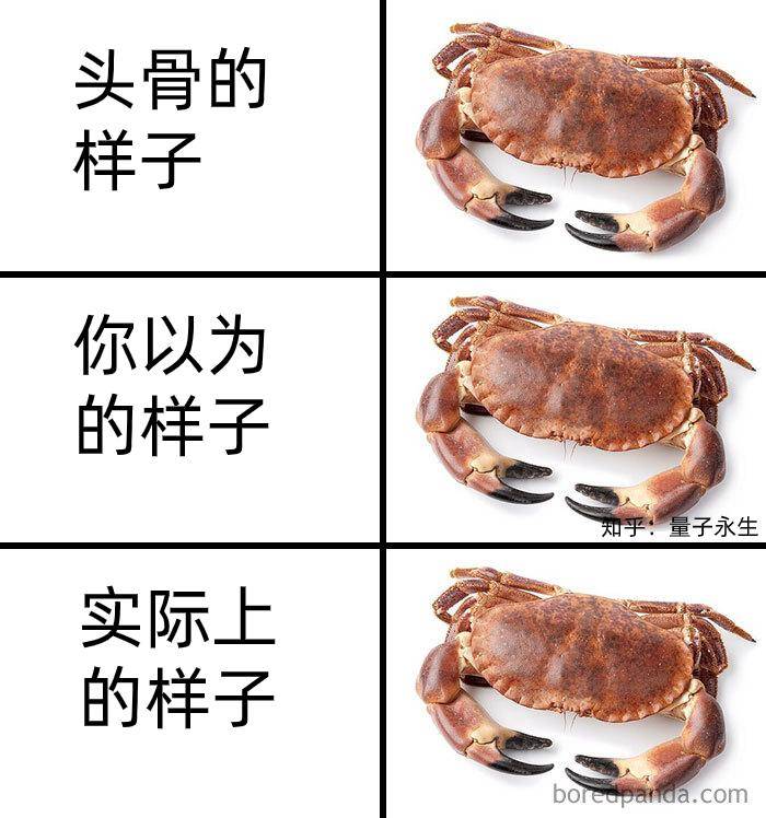 为什么古生物都长的比较吓人?  第27张