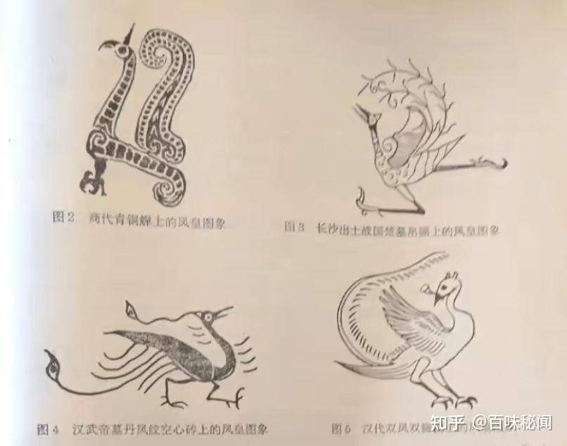凤凰真实存在吗？  第11张