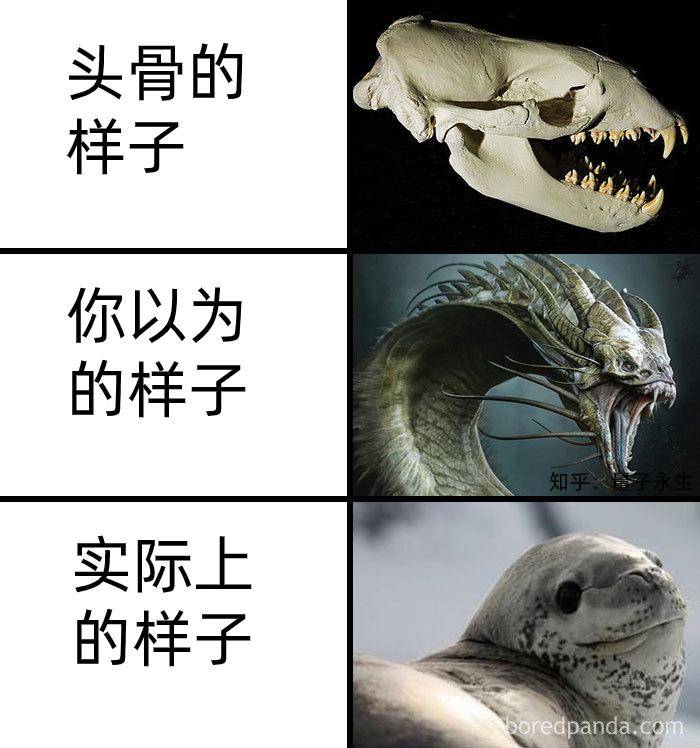 为什么古生物都长的比较吓人?  第13张