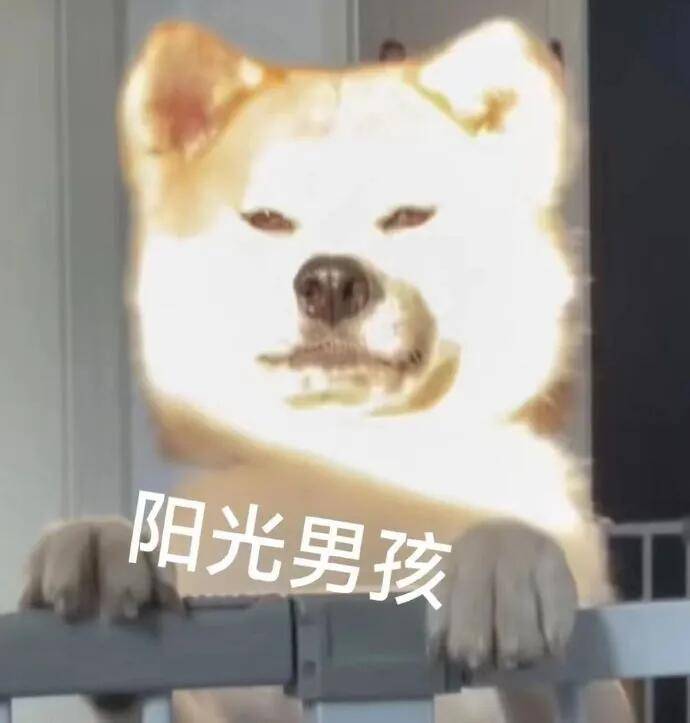 本人以后打算从事iot安全，请各位前辈给个建议。?  第1张