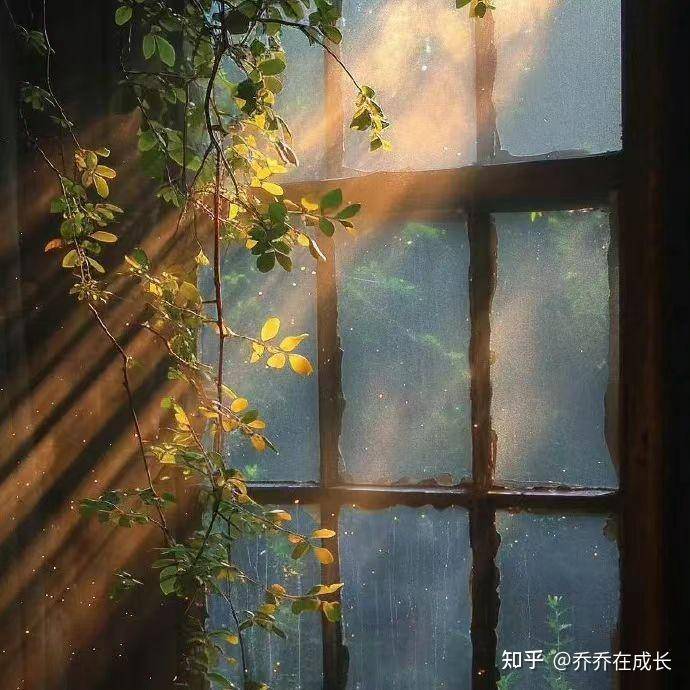 提升自己最快的方式是什么？  第1张