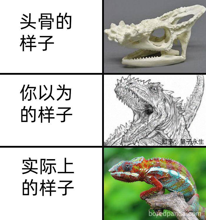 为什么古生物都长的比较吓人?  第21张