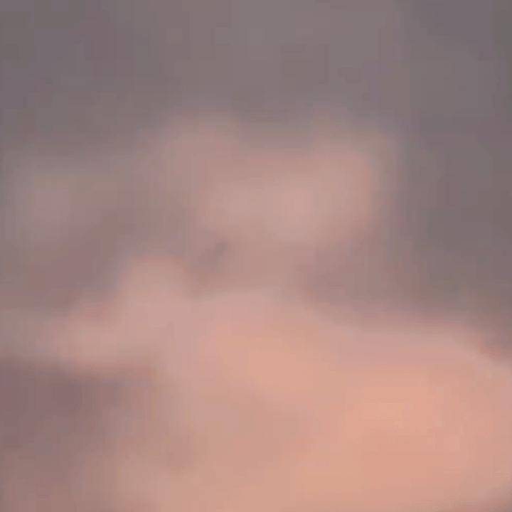 龙是否真的存在过？  第6张