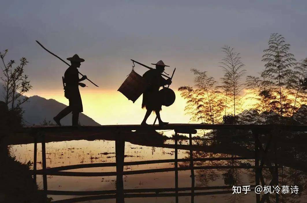 有没有专业人士来解读一下这次的中央一号文件？  第4张