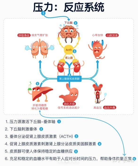 心理问题会导致大脑结构的改变吗？  第3张