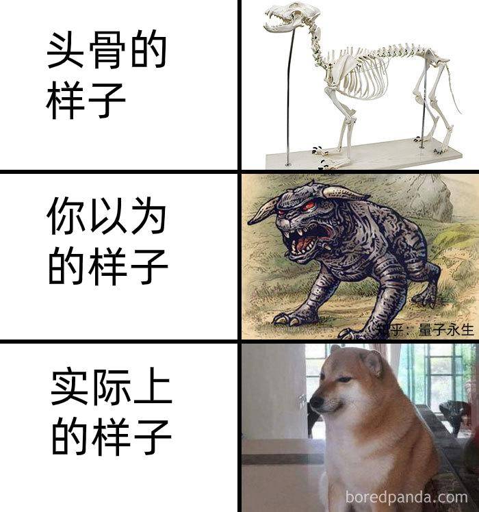 为什么古生物都长的比较吓人?  第22张