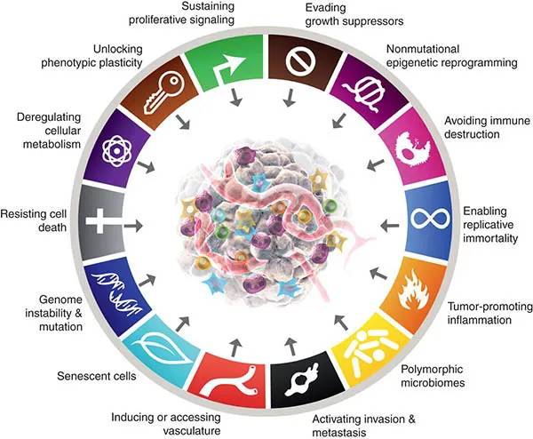 我国科学家首次揭示「细菌抗肿瘤」关键原理，是如何发挥作用的？  第2张