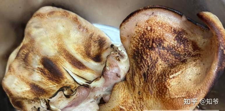 猪哪个部位的肉最好吃？  第16张