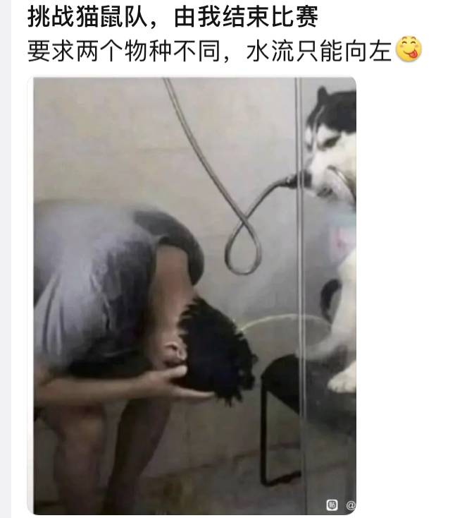 百度贴吧有哪些有意思的吧？  第118张