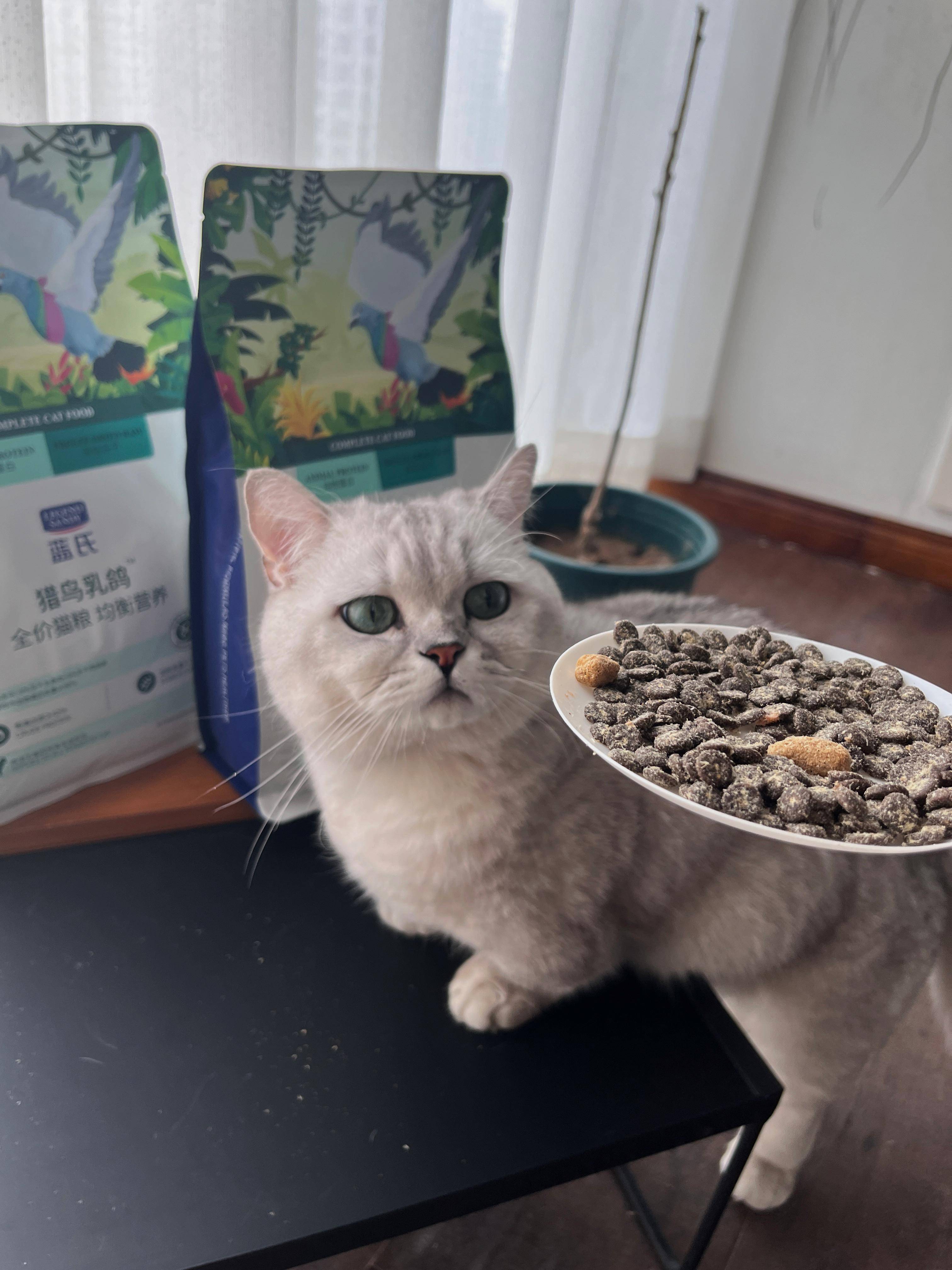 你发现过你的宠物什么小秘密？  第7张