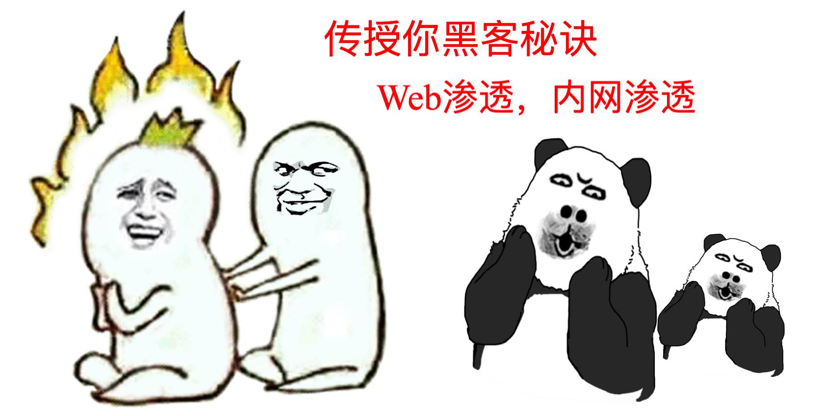 网络安全做红队攻防 35 岁以后可以干嘛？  第3张